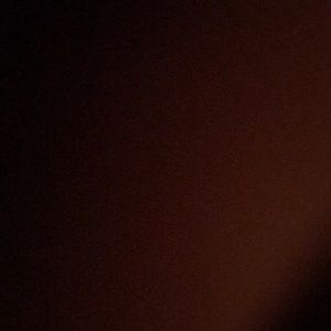 Meet your Posher, Wyatt